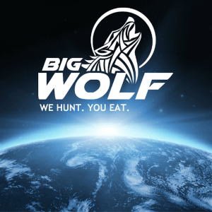 Big Wolf Marketing