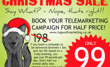 Christmas Special Big Wolf Marketing