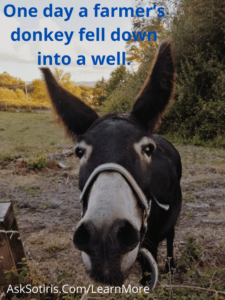 One day a farmer’s donkey fell down into a well.