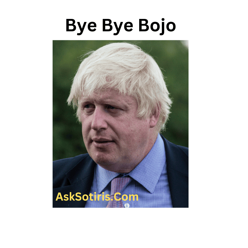 Bye Bye Bojo